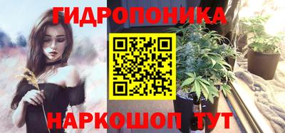 крисы Дубна