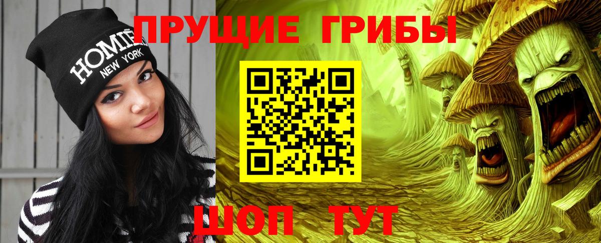 Луга  Псилоцибиновые грибы Psilocybe  Псилоцибиновые грибы Psilocybine cubensis  Вход с VPN 